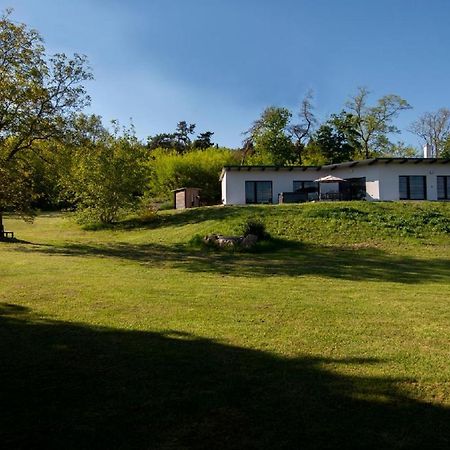 Wellness bungalov - vodní nádrž Slapy - 40km od Prahy Necin Exterior foto
