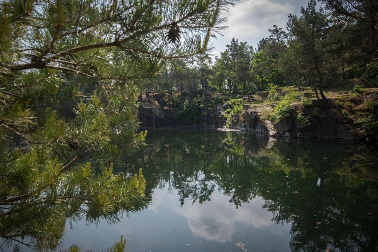 Wellness bungalov - vodní nádrž Slapy - 40km od Prahy Necin Exterior foto