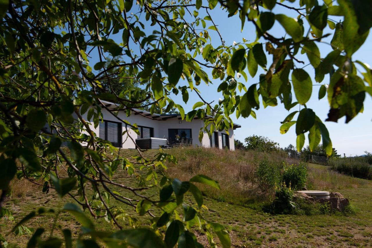 Wellness bungalov - vodní nádrž Slapy - 40km od Prahy Necin Exterior foto